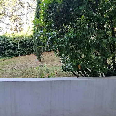 12m2 Terrasse Piscine Proche Cite Internationale Apartment Caluire-et-Cuire